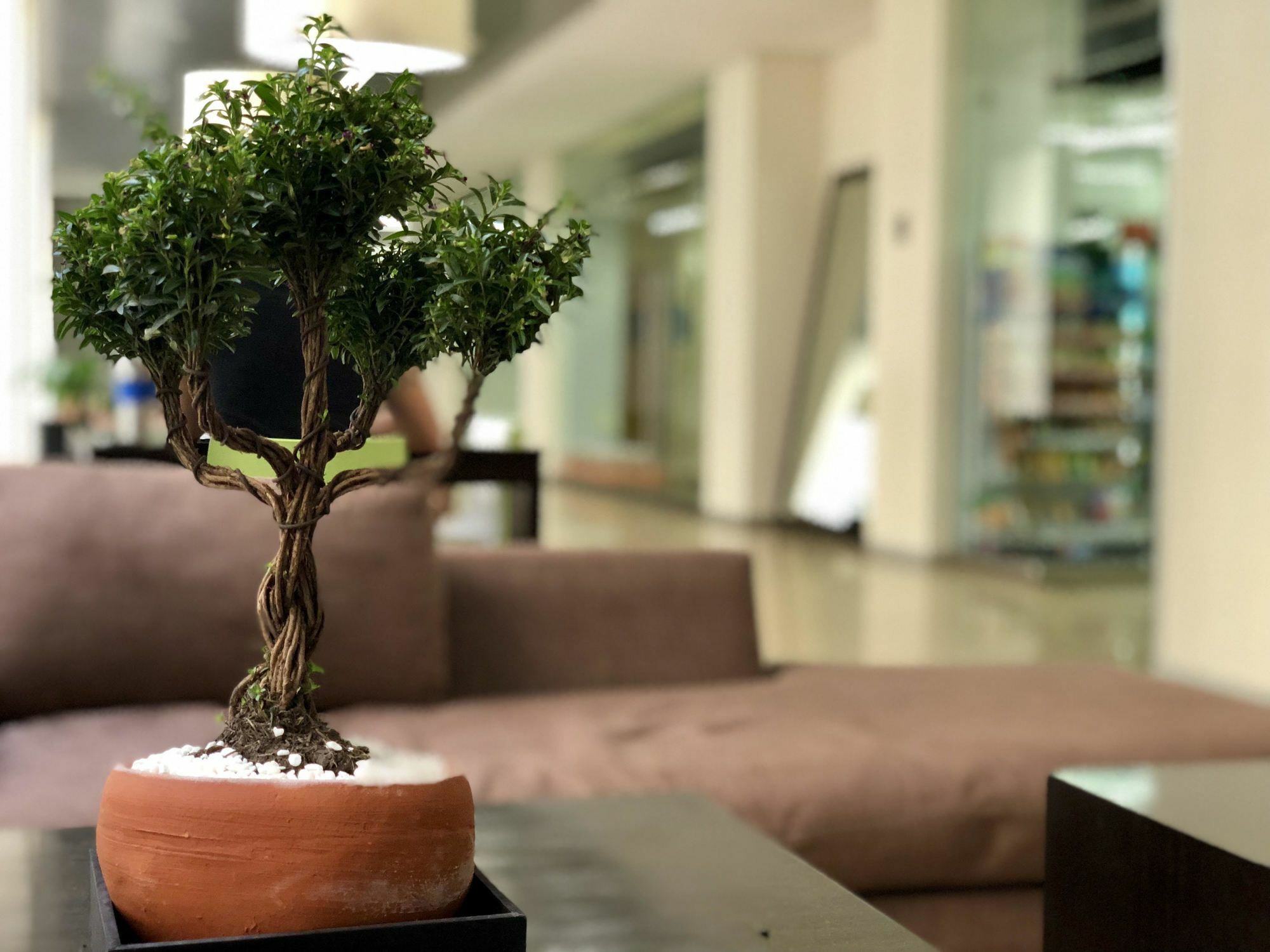 Boutique Apartment Puerta Alameda-801 墨西哥城 外观 照片